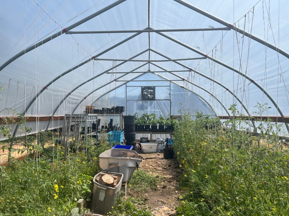 2841_source_garden