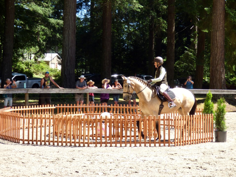 2940_horse_competition-1