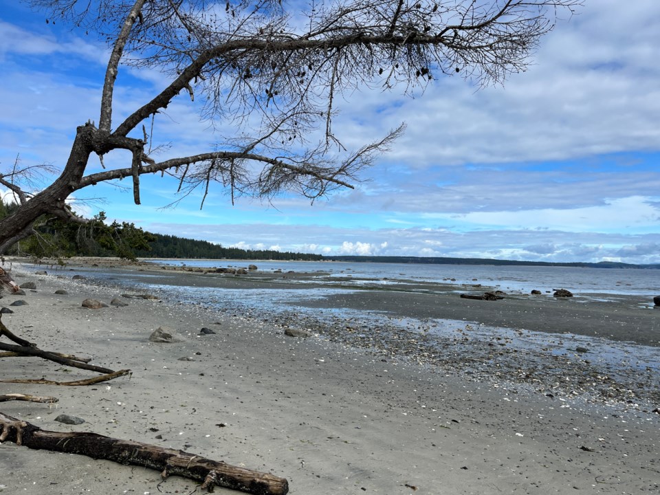2940_savary_island_issues