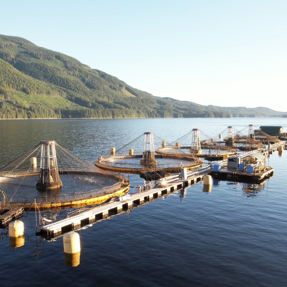 2946_fish_farm