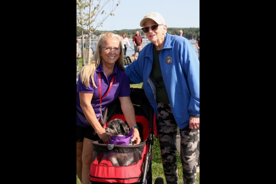 ELDERS AND DOGS: In the photo above is an ElderDog volunteer holding an older dog. One of the main goals of the charity is to assist and support older adults in the care and well-being of their canine companions.
