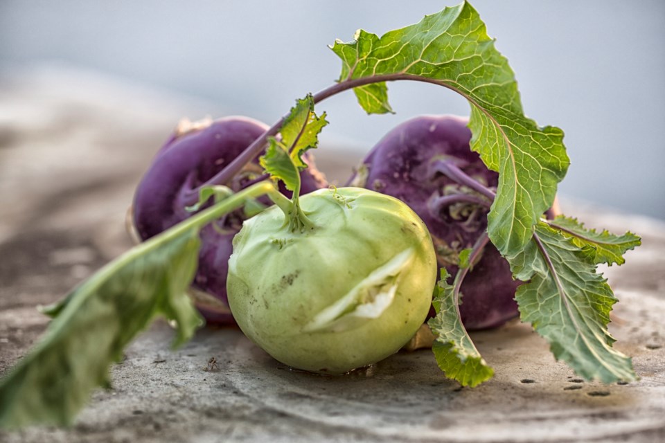 3022_kohlrabi_getty_images