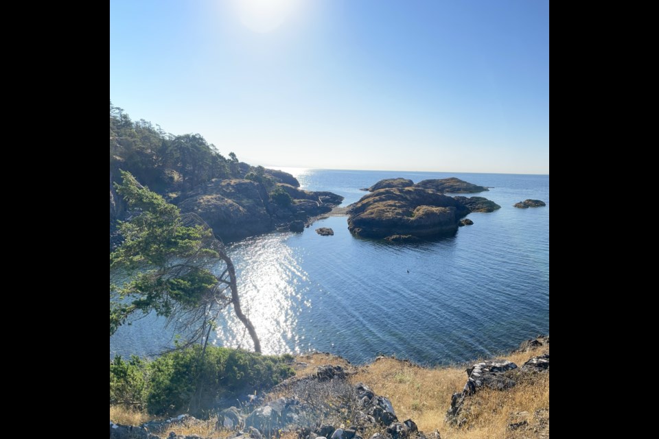 LAND ADDED: Young Point [above] on Lasqueti Island was a recent partial land donation. BC Parks Foundation worked with a local family, and did a local crowdfunding campaign, to protect five kilometres of waterfront adjacent to Squitty Bay Provincial Park.
