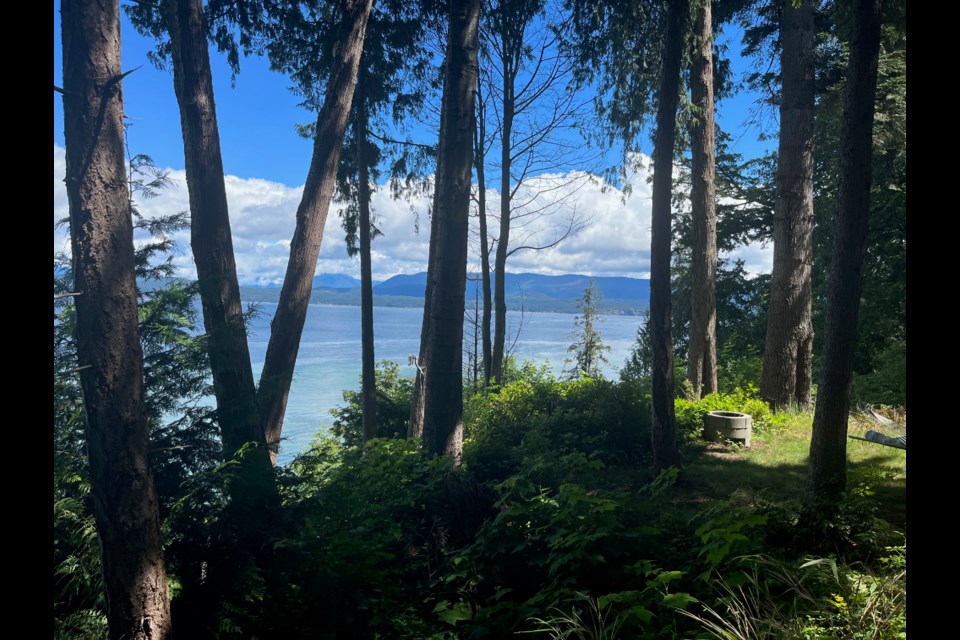 LAND DONATION: A recent land donation has spurred a fundraiser to double the amount of a forest parcel protected on Savary Island. The photo above was taken on Savary Island Road.
