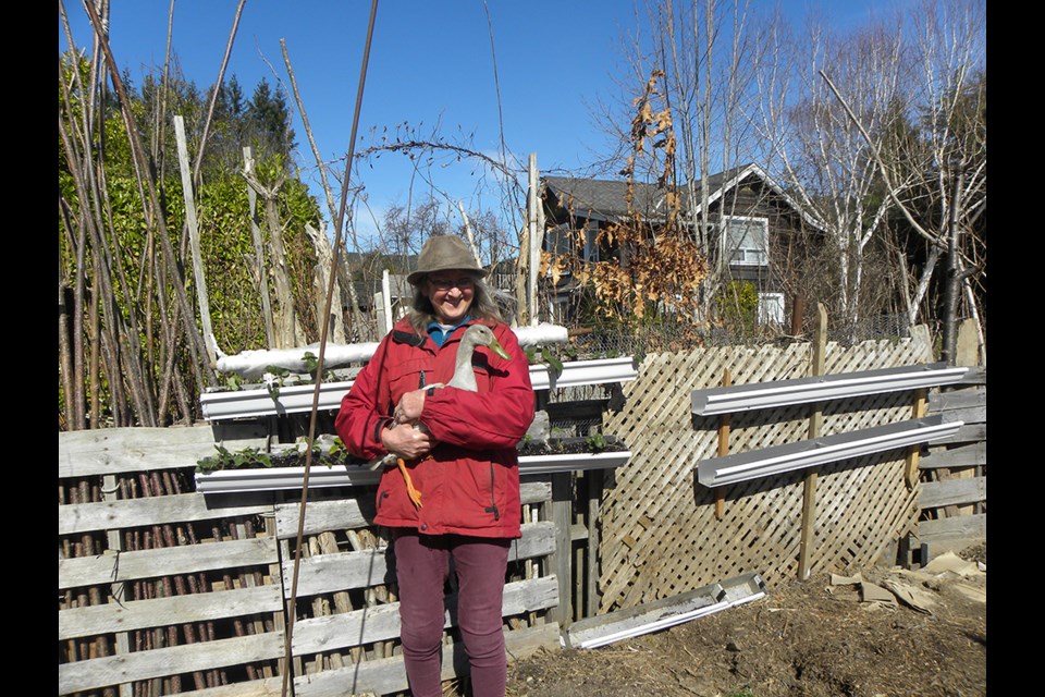 Lesley Moseley with Frankie Drake and new gutter strawberry planters.