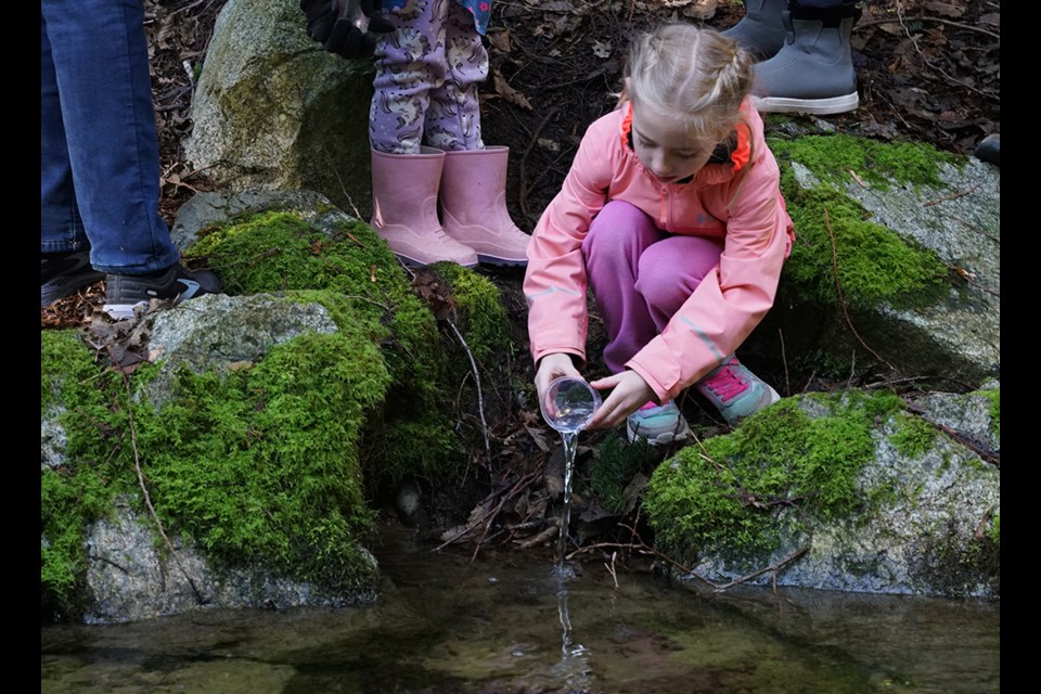 HELPING LIFE CYCLE: qathet School District students were bused out to Powell River Salmon Society’s Lang Creek facility for what is known as Fry Day, which involves children releasing fry back into the waters in which salmon spawned.                              