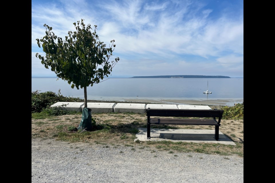 August 31 is International Overdose Awareness Day. Ribbons and prayers will be given at bench and tree from 6 pm to 9 pm, at upper Willingdon beach (Thursday night market entrance).