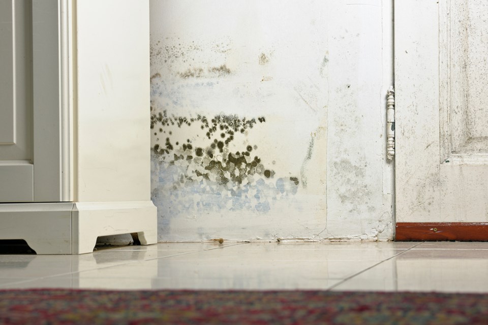 2723_shg_mold