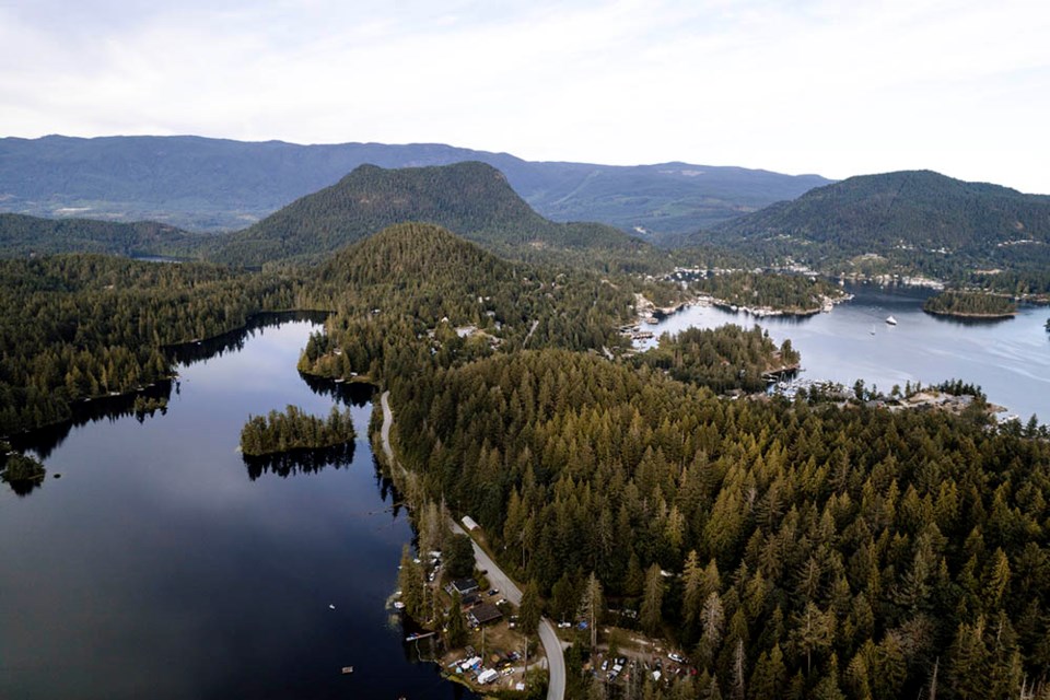 HELPING HANDS: “Citizen scientists” can be found all over North America, including in Pender Harbour [above] helping researchers collect data in order to determine the health of an ecosystem. A research biologist based on the Sechelt Peninsula is hoping to find more helpers in the qathet region.