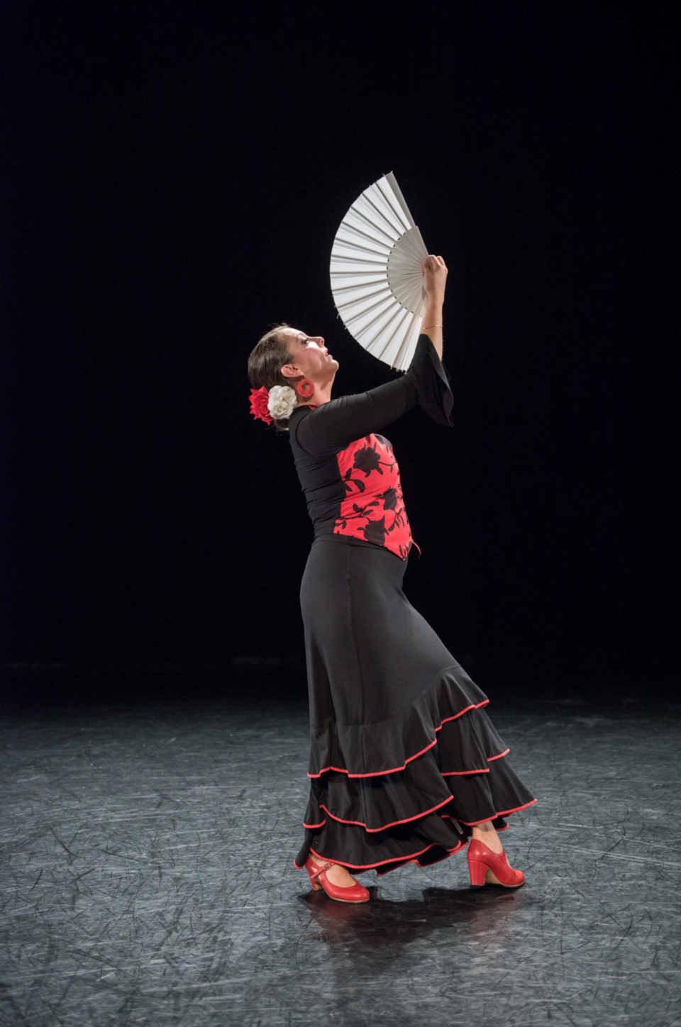 studio-2880-flamenco