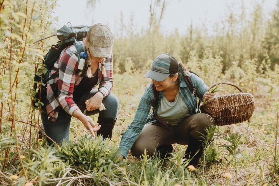 tourism-pg-foraging