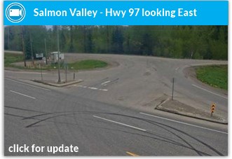 salmonv-e