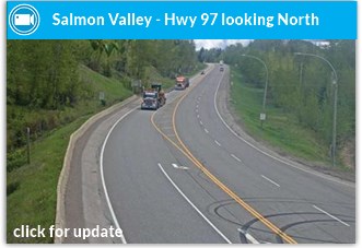 salmonv-n
