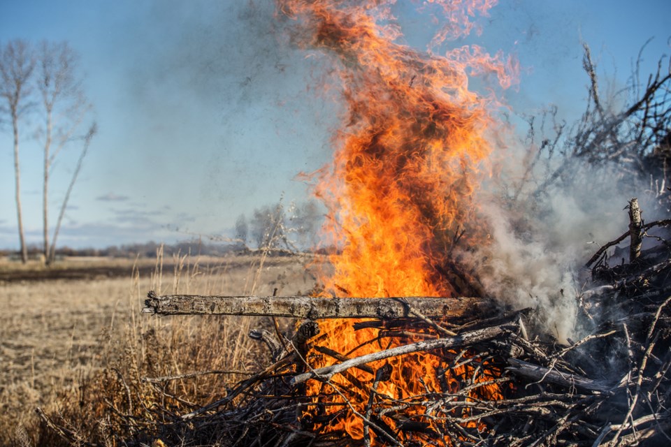 Pile burning (via Shutterstock)