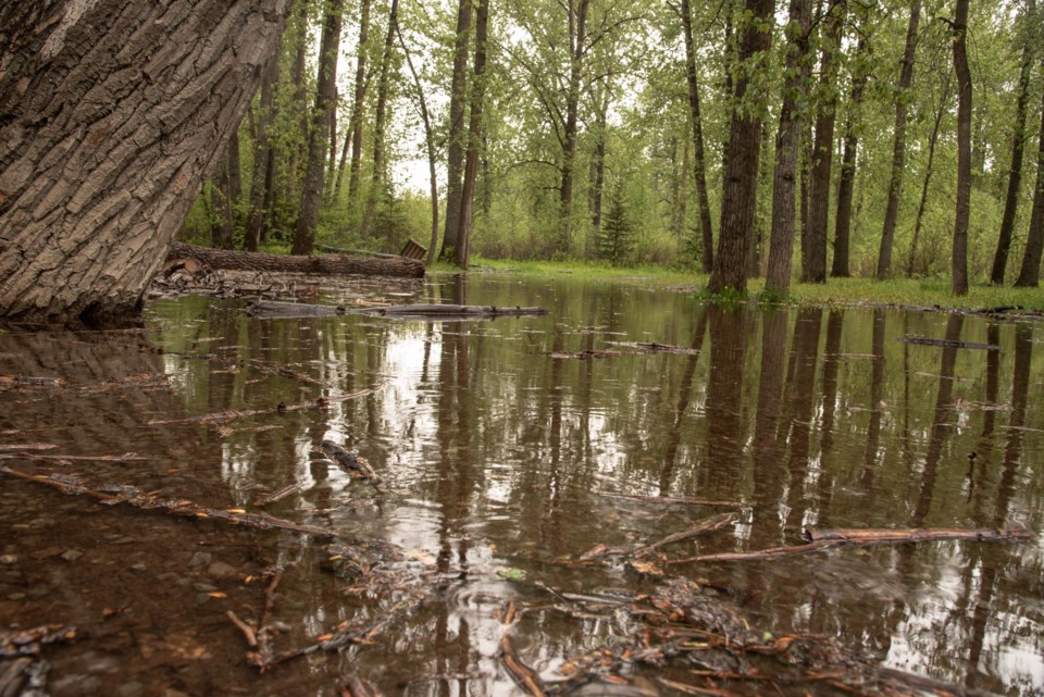 CottonwoodIslandFlooding