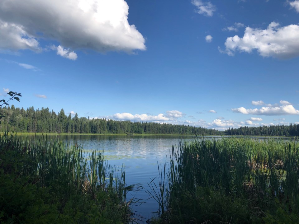 Ferguson Lake Park