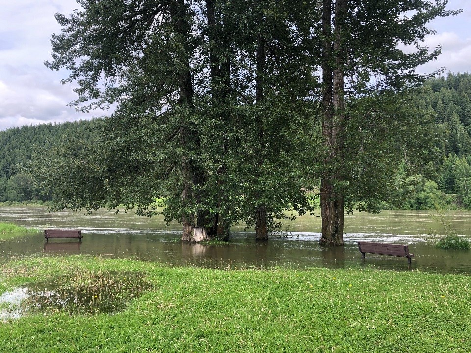 Paddlewheel Park flooded - June 24, 2020 (2)