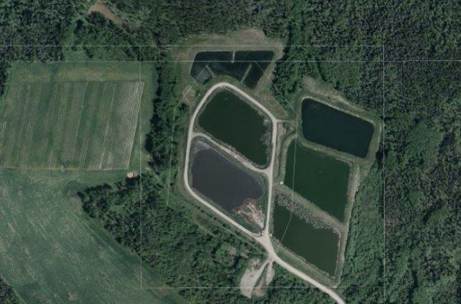 Shelley Lagoon