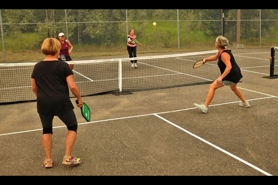 Pickleball players use a court similar to a tennis court, but with smaller boundaries (Tbnewswatch file)