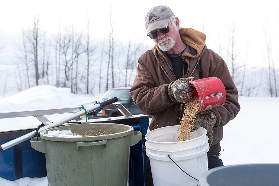 Volunteer Brock Bailey fills buckets with grain to feed the ducks