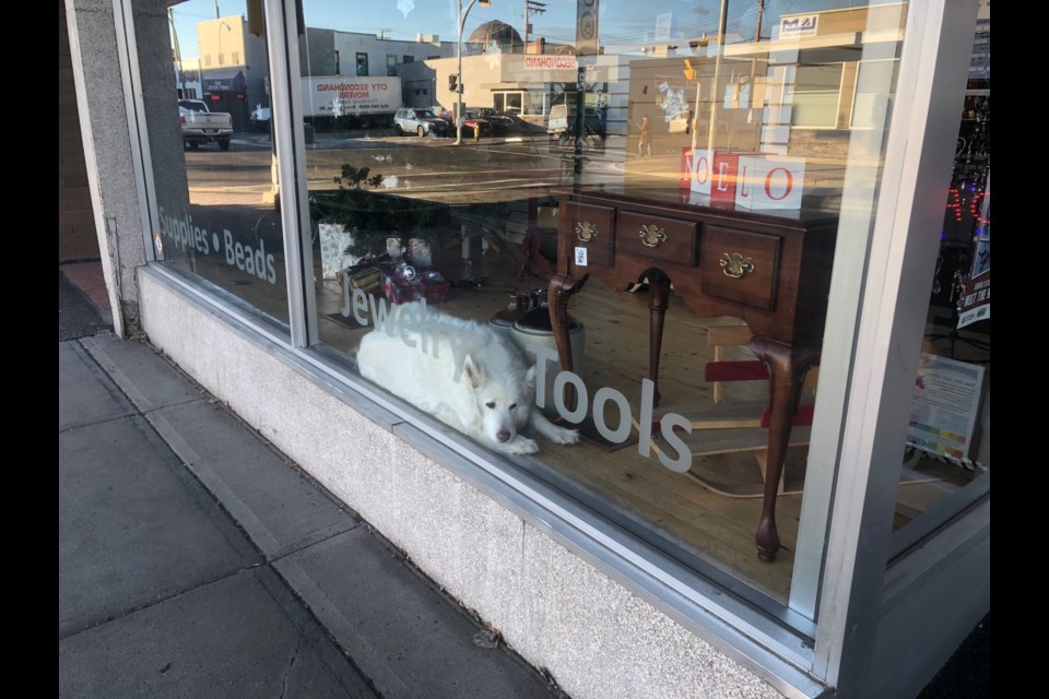 You can often spot Luke in the window of Topaz Bead Gallery. (via Hanna Petersen)