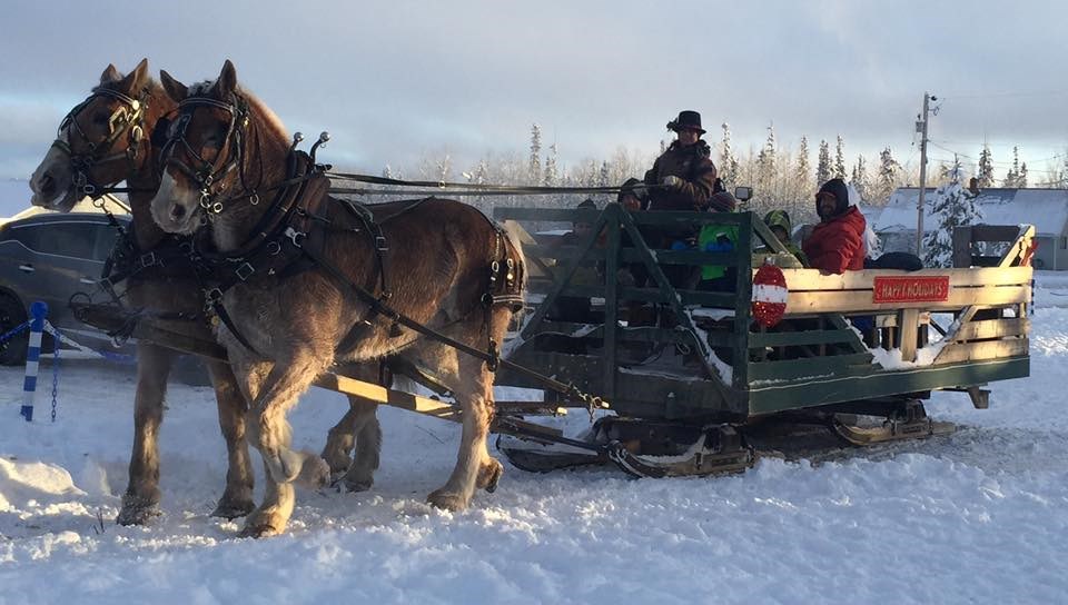 Tripple D Draft Horses Sleigh Ride