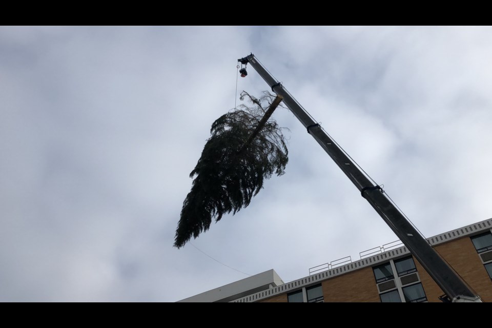 United Way of Northern BC brings a 60-foot tree to the top of the Coast Inn hotel with the help of Prince George crane crews (via Kyle Balzer)