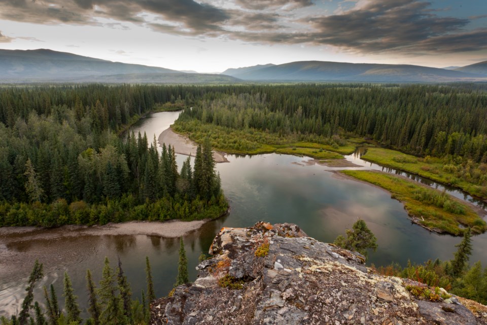 shutterstock_115155121
