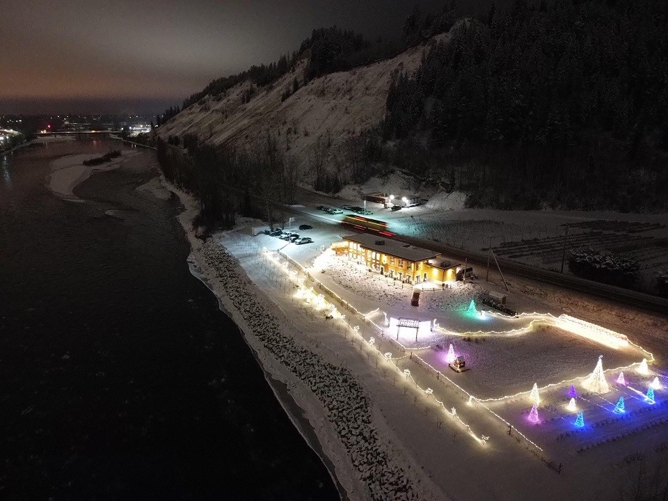 Northern Lights Estate Winery - Light Up the Orchard 2019