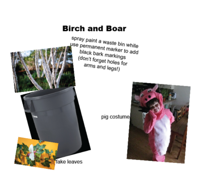 birch and boar