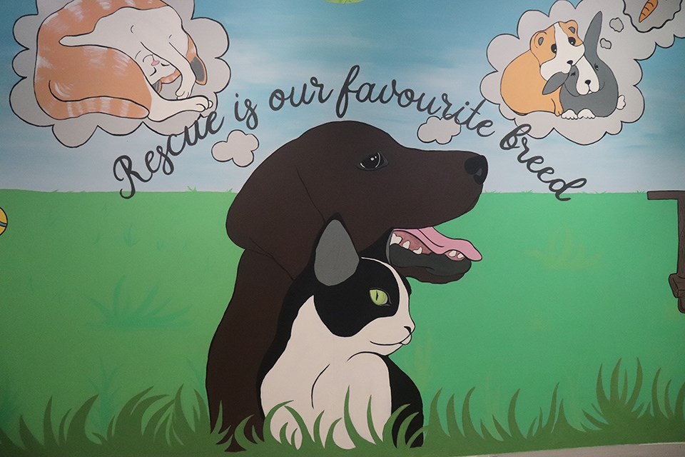 One of the new murals painted by Katelyn Steeves. Take a sneak peak at some of the changes. (via Hanna Petersen, PrinceGeorgeMatters)