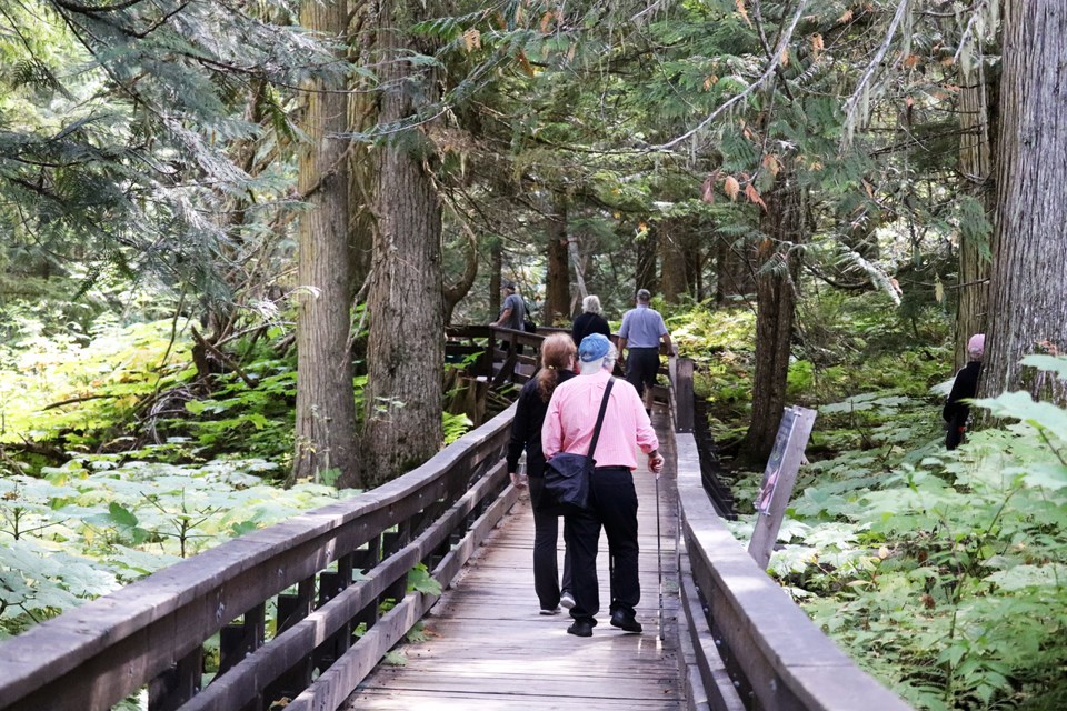 There is no shortage of breathtaking views at the Ancient Forest. (via Jess Fedigan)