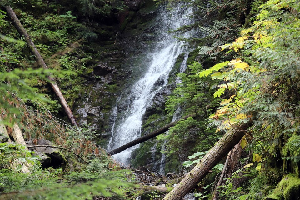 There is no shortage of breathtaking views at the Ancient Forest. (via Jess Fedigan)