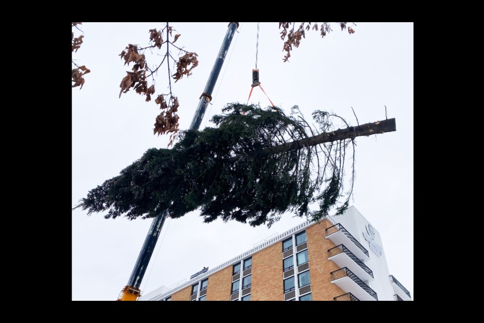 The 60 foot United Way Tree of Light was hoisted onto the roof of the Coast Hotel in downtown Prince George this morning. (via Jess Fedigan)