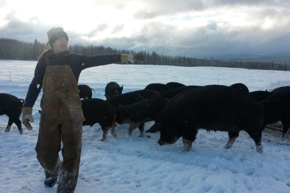 Marlene with her pigs in 2016. (via GoFundMe/Marlene Thimer)