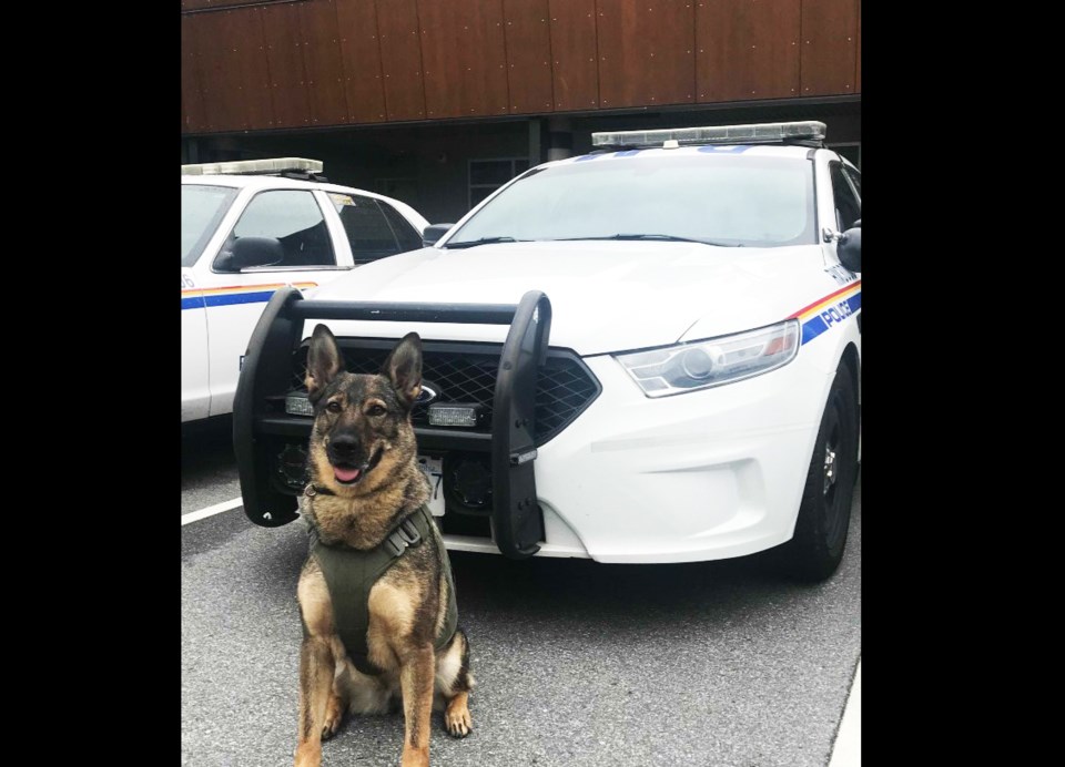 police-dog-prince-george-photoshopped