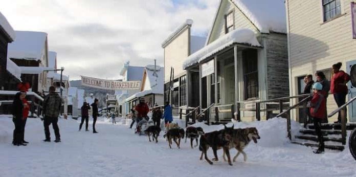 dog-sledding-696x346