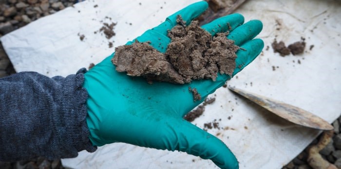 soil-sample-min
