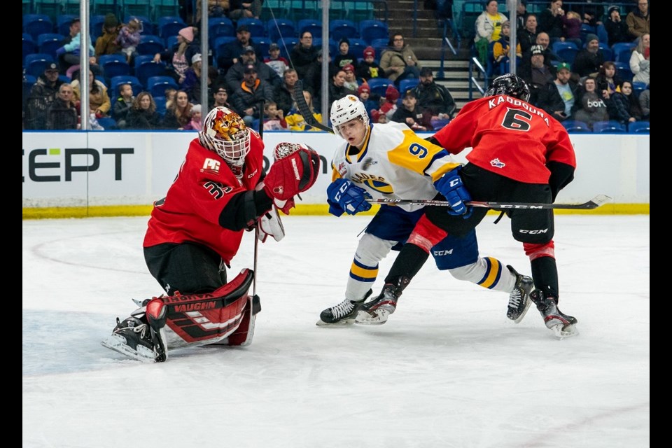 Prince George Cougars' Taylor Gauthier (#35) jumps to make the save while on the road in Saskatoon (via Saskatoon Blades)