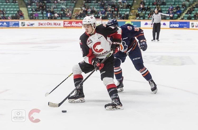 Cougars-Blazers-Lakusta 2019 home