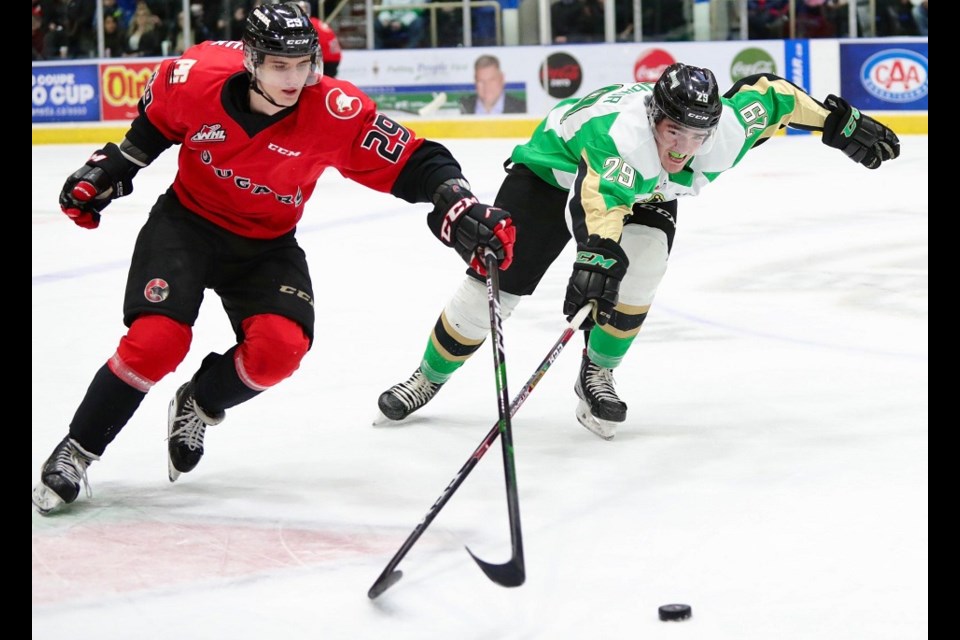 Prince George Cougars' Vladislav Mikhalchuk (#29) tries to poke check from behind during a road game against the Raiders (via Prince Albert Raiders/Apollo Media)