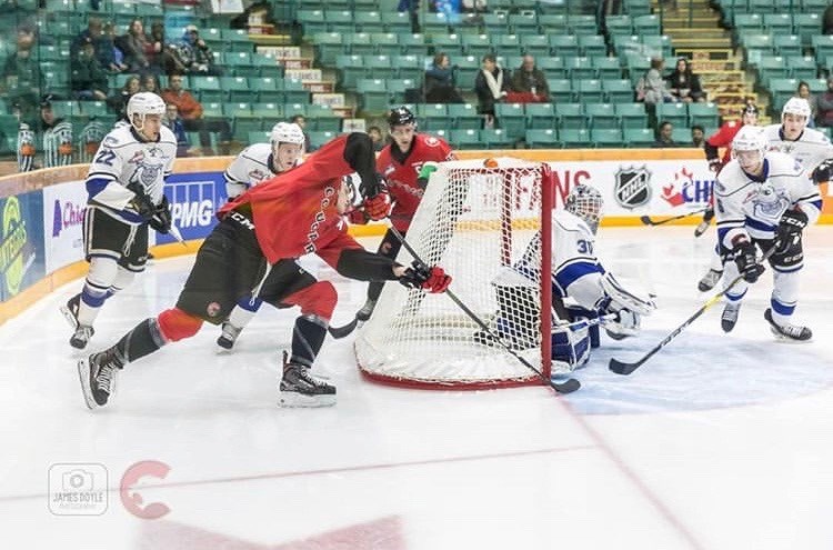 Griffen Outhouse (#30), seen here as a member of the Victoria Royals, stretches to make a stop while playing at the CN Centre. (via Prince George Cougars/James Doyle Photography)