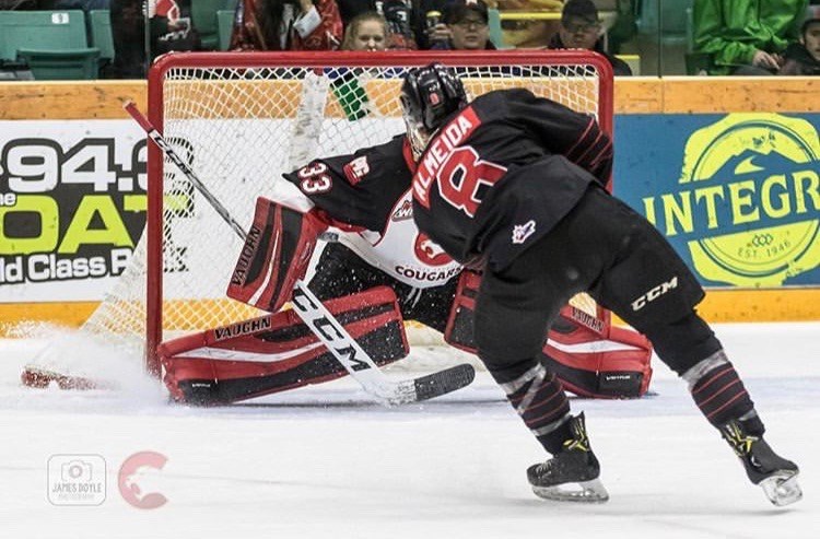 Former PG Cougar Justin Almeida (#8) takes a shot for the Moose Jaw Warriors on goaltender Isaiah DiLaura at the CN Centre (via Prince George Cougars/James Doyle Photography)