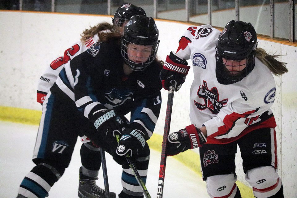 Northern Capitals' Nancy Moore (#12) battles for the loose puck along the boards against the Vancouver Island Seals (via Kyle Balzer)