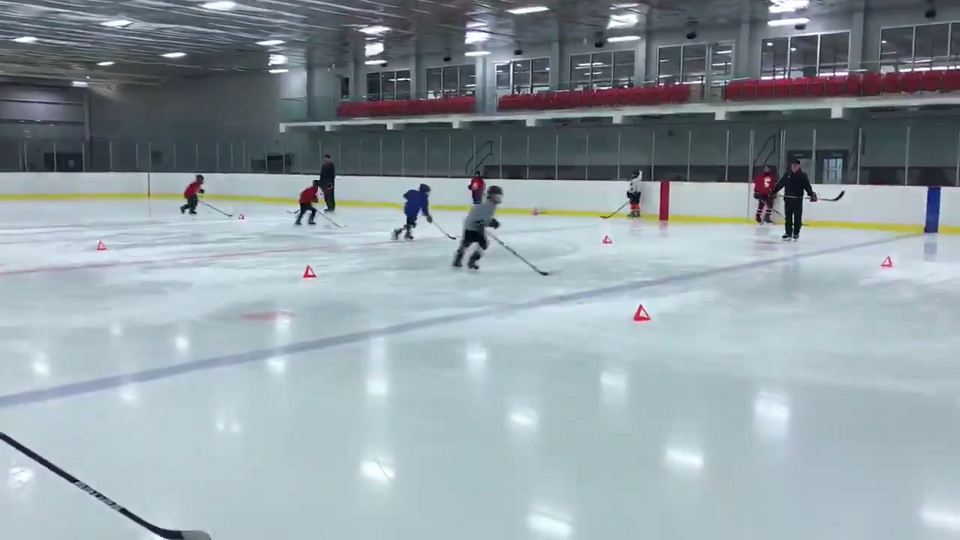 Prince George Cougars - Pro-D Day Hockey School