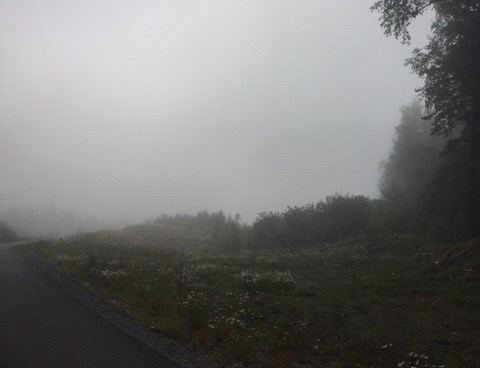 foggy 1