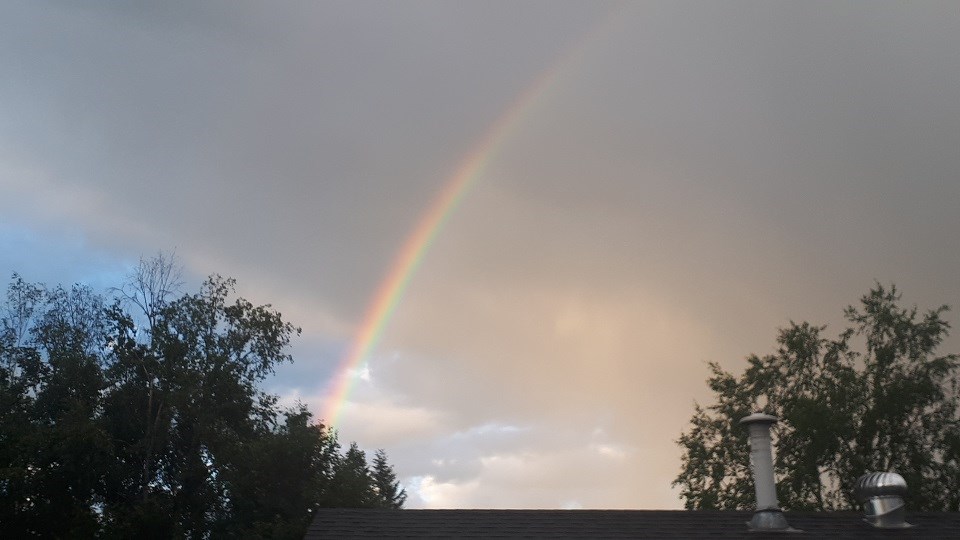 Kim Turner - July 12, 2020 rainbow