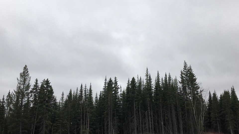 Kyle Balzer - April 25, 2020 grey clouds