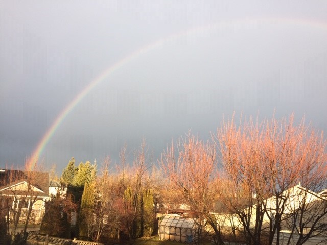rainbow