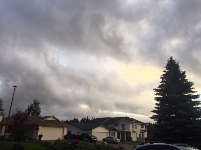 Rosmarie Vonah - July 12, 2020 cloudy morning
